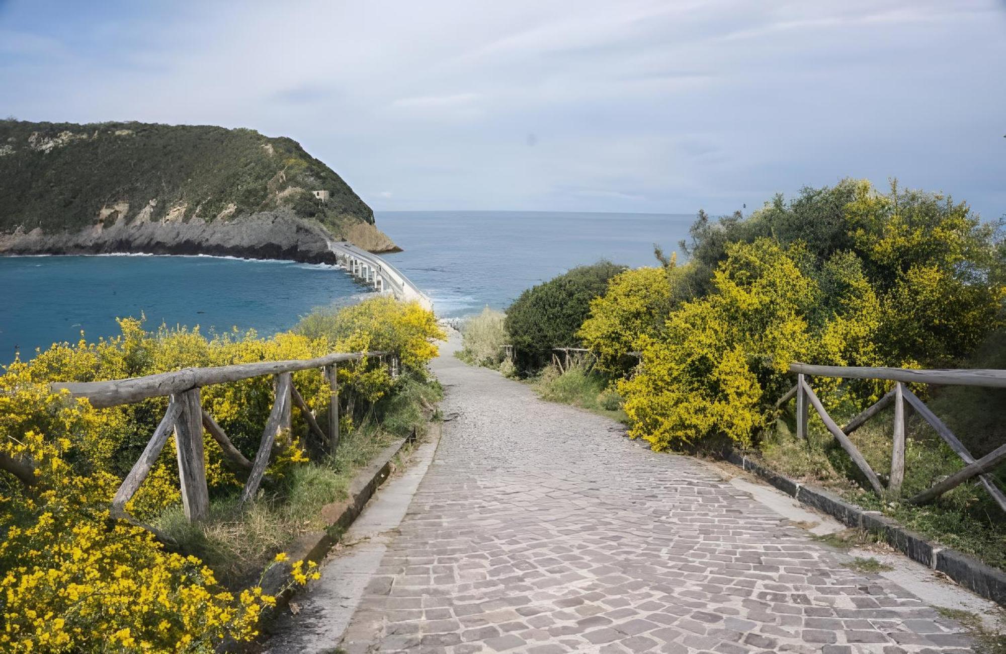 Mezza Torre B&B Procida Ngoại thất bức ảnh